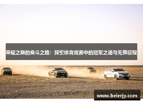 荣耀之巅的奋斗之路：探索体育竞赛中的冠军之道与无畏征程