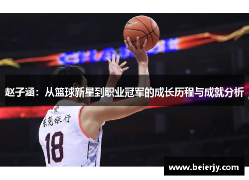 赵子涵：从篮球新星到职业冠军的成长历程与成就分析